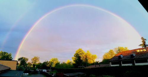 Rainbow over trees against sky