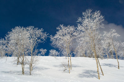 View of trees on snow covered landscape