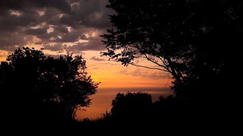 Silhouette trees against orange sky