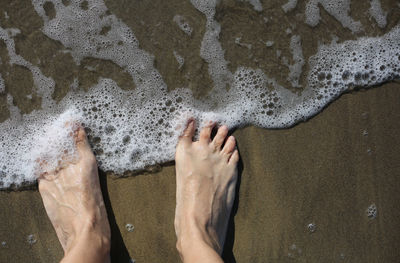 Low section of man standing at beach