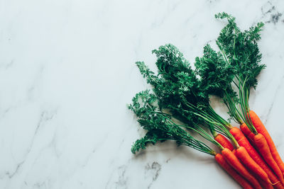 High angle view of vegetables against white background