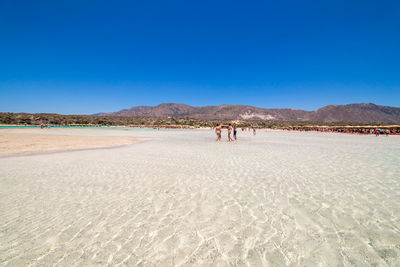 People on beach against clear blue sky