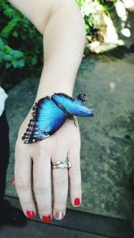 Close-up of butterfly on woman hand