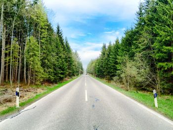 Empty road along trees