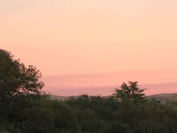 Scenic view of trees against sky during sunset