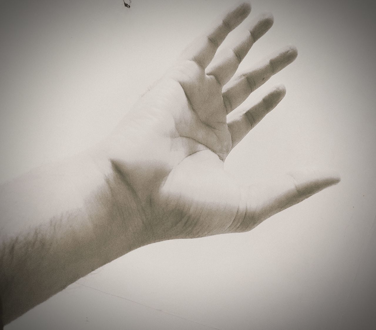 CLOSE-UP OF HANDS AGAINST WALL