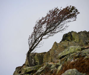 Low angle view of rock against sky