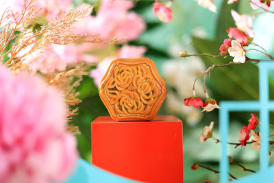 Mooncake chinese mid autumn festival snack with various filling paste bean