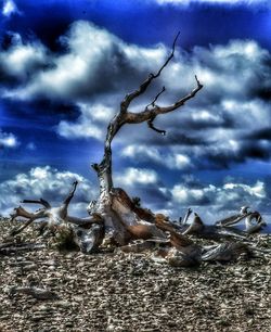 Cloudy sky above landscape