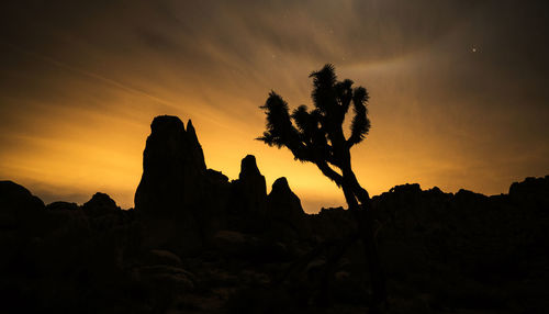 Silhouette tree and rock formation at joshua tree national park against orange sky