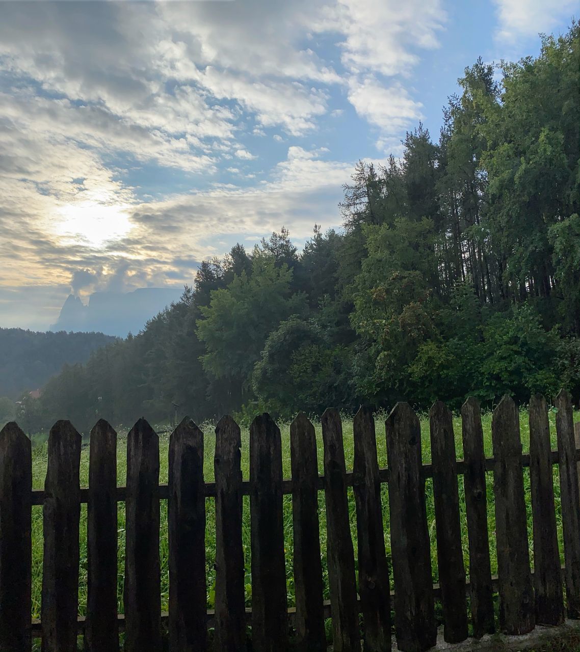 TREES AND PLANTS ON FIELD AGAINST SKY