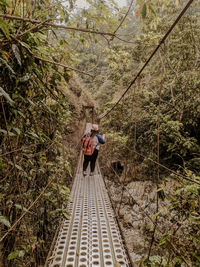 Rear view of person on footbridge in forest