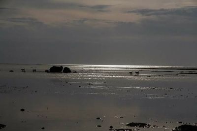 Scenic view of sea against sky at sunset