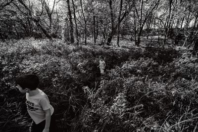 Boy on tree