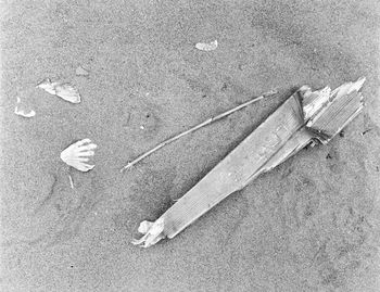 High angle view of feather on sand