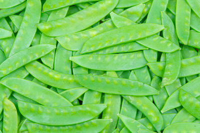 Full frame shot of green leaves