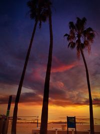 Low angle view of palm trees at sunset
