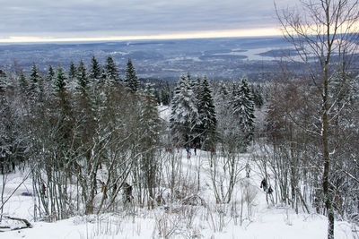 Scenic view of snow covered land against sky