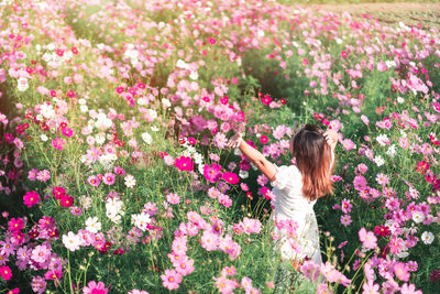 Woman standing by pink flowering plants on field