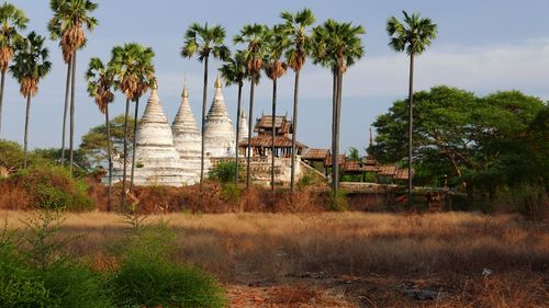 Historic temple by trees