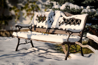 Close-up of seat against trees