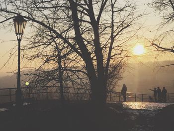 Silhouette trees on landscape during winter