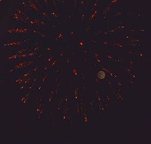 Low angle view of firework display