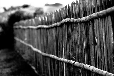 Close-up of fence