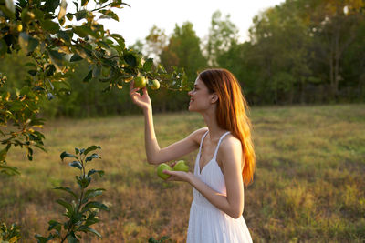 Smiling woman picking fruits from tree