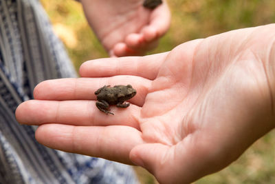 Close-up of man holding leaf