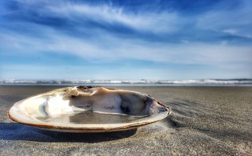 Close-up of sunglasses on beach against sky