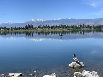 Scenic view of lake against sky