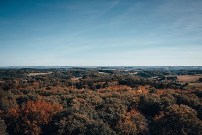 High angle view of trees on landscape against sky