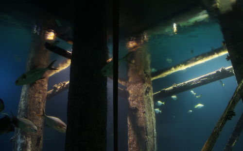 Low angle view of illuminated water at night