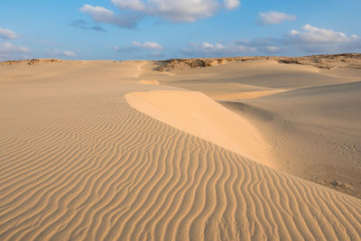 Sand at beach against sky