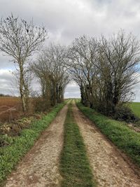 Dirt road along plants and trees against sky