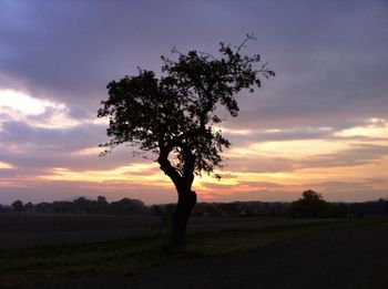 Scenic view of landscape at sunset