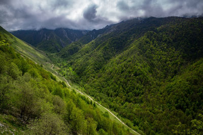 Green mountain slopes in the caucasus mountains. gorge in the mountains.