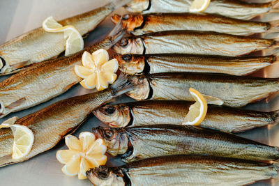 High angle view of fish on table