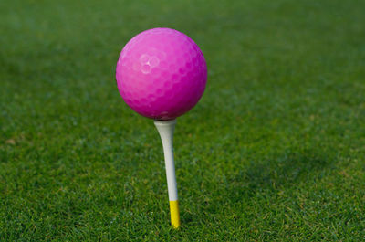 Close-up of pink ball on table