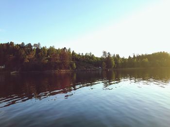 Reflection of trees in water