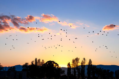 sky