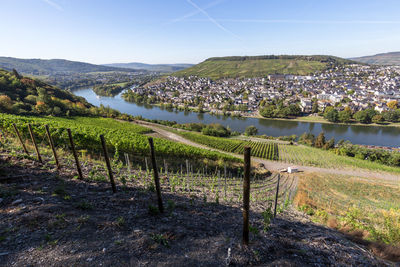 Scenic view of vineyard against sky