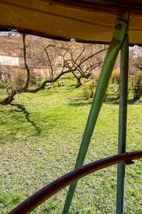 Fence on grassy field