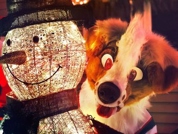 Close-up of dog on tree