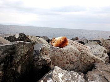 Rocks on beach against sky