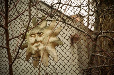 Close-up of chainlink fence in cage at zoo