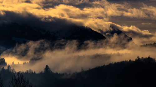 Low angle view of silhouette trees against dramatic sky