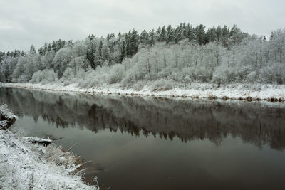 Scenic view of lake in forest during winter