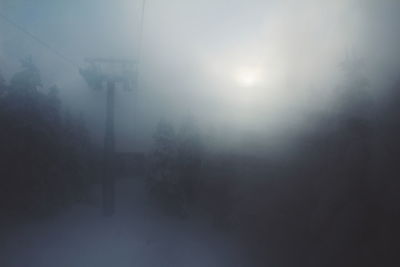 Trees against sky during foggy weather